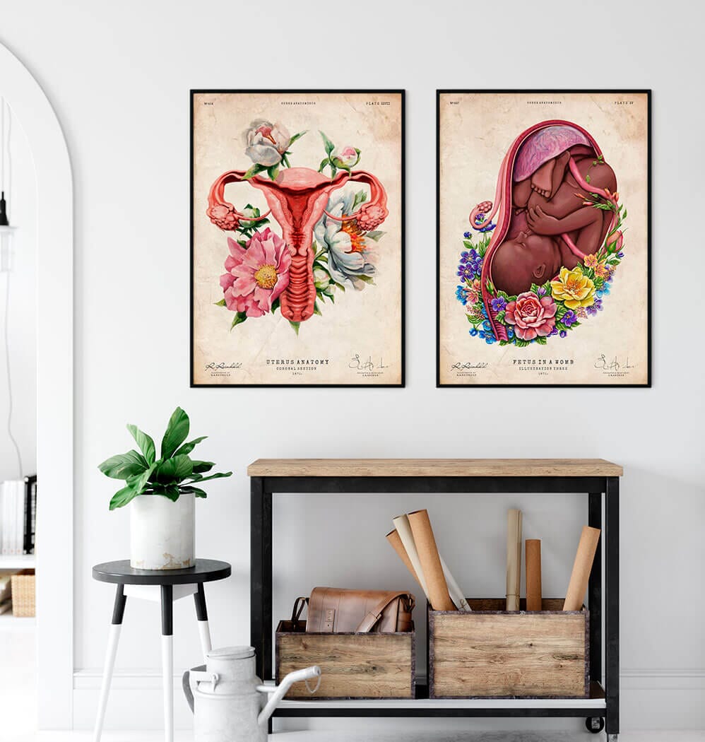 Fetus in a womb anatomy art print - Codex Anatomicus