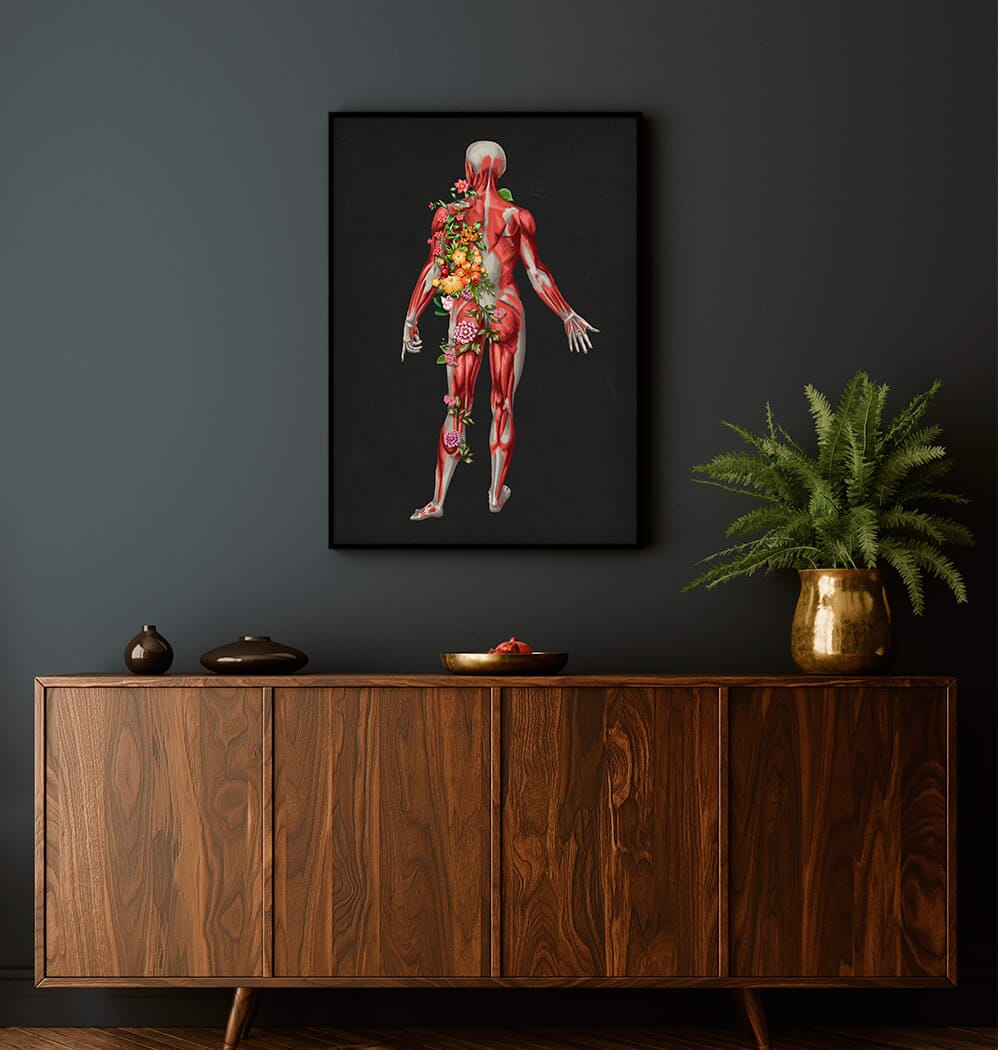 Muscles anatomy art - Codex Anatomicus
