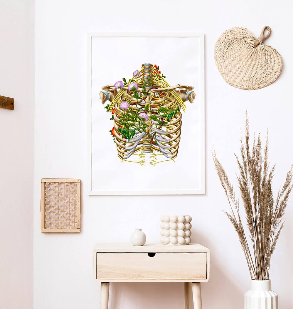 Intercostal nerves anatomy art print – Codex Anatomicus