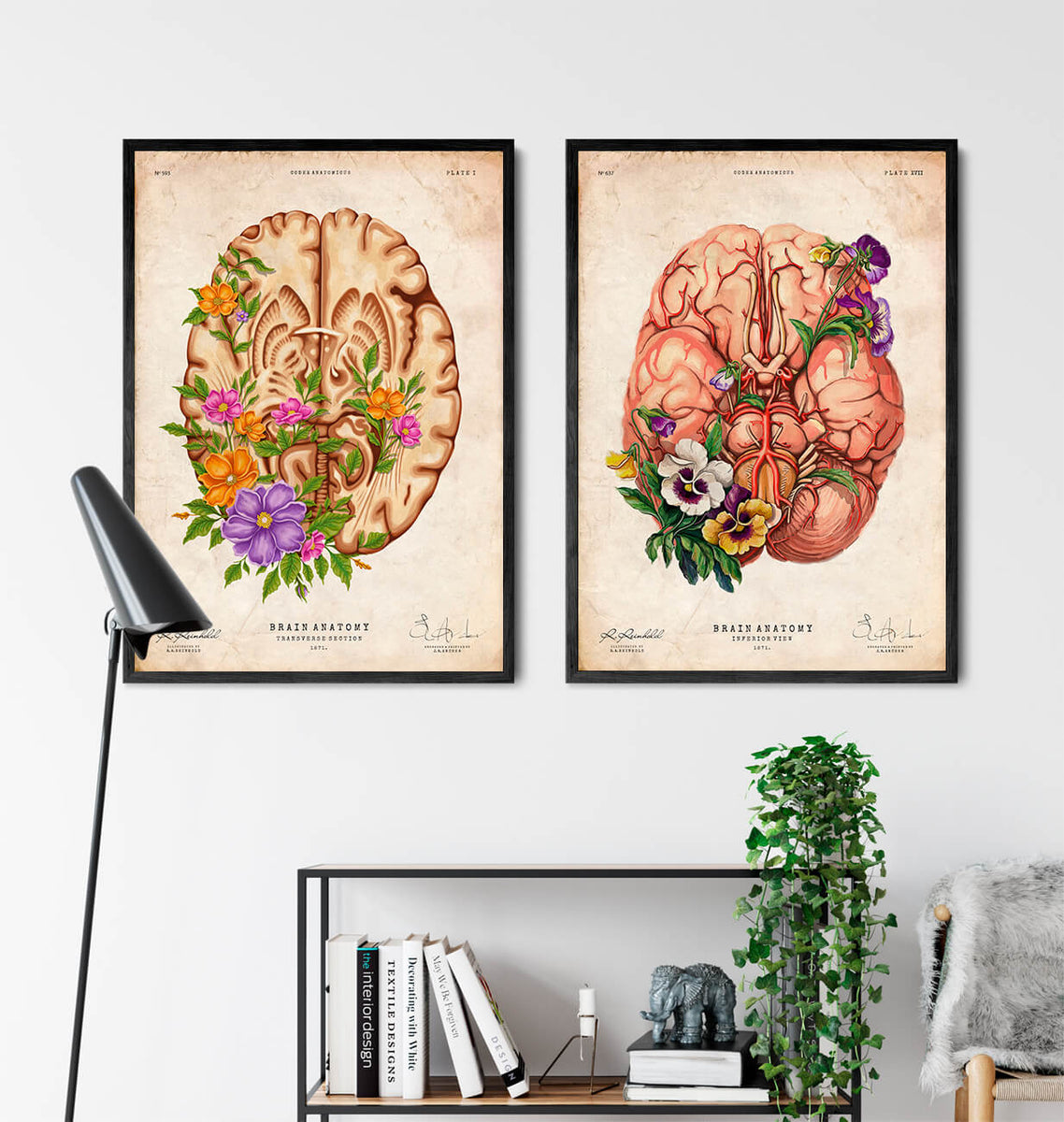 Floral brain anatomy art print - Codex Anatomicus
