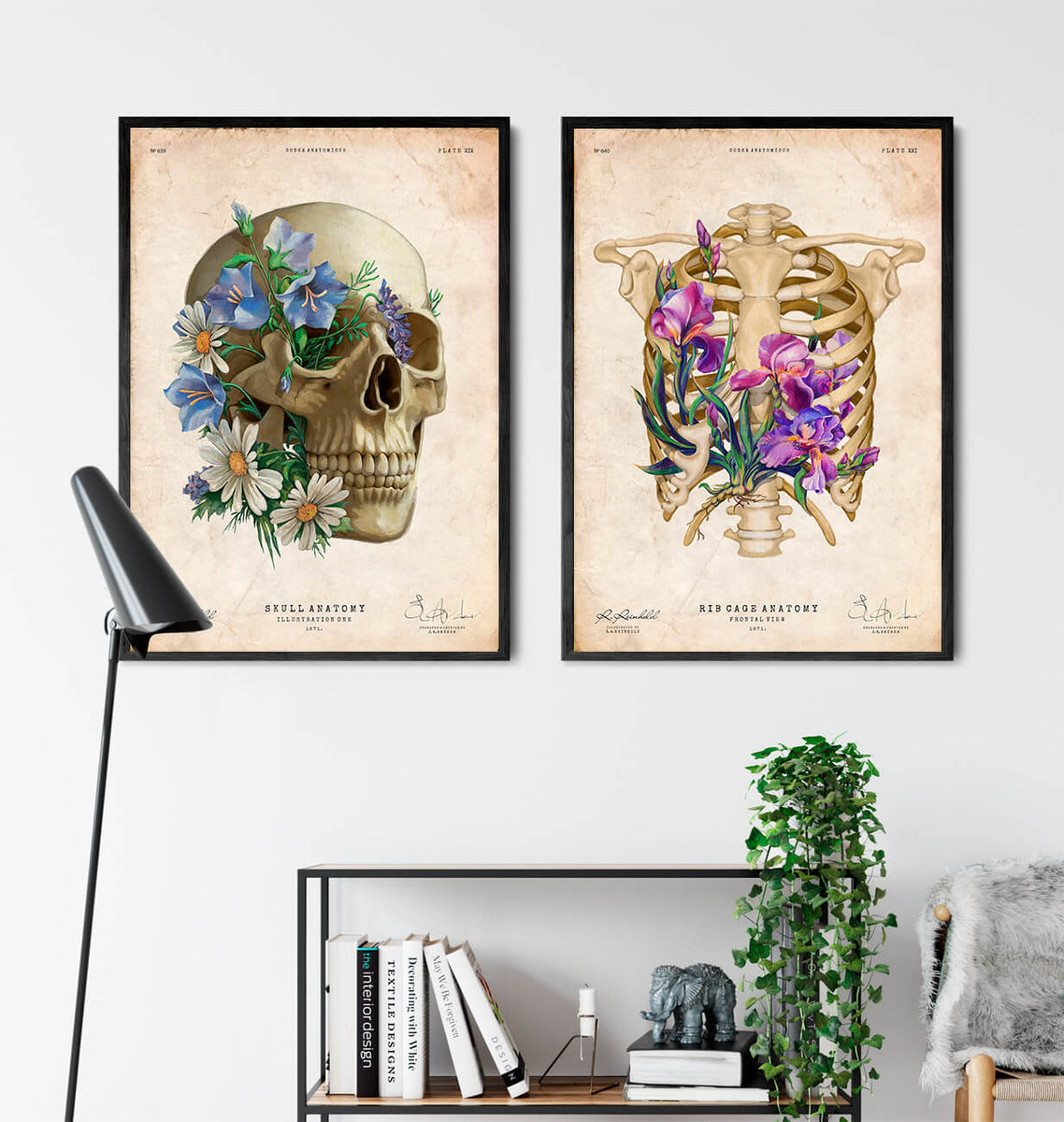 Floral skull anatomy art diagram – Codex Anatomicus