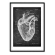 Charger l'image dans la galerie, heart anatomy art print in chalkboard style by codex anatomicus
