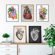 Charger l'image dans la galerie, Heart anatomy posters in a variety of styles by codex anatomicus
