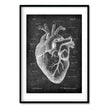 Charger l'image dans la galerie, heart anatomy medical print in chalkboard style by codex anatomicus
