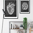 Charger l'image dans la galerie, Heart anatomy art poster
