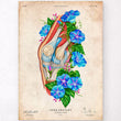 Laden Sie das Bild in den Galerie-Viewer, Lateral view knee anatomy poster
