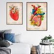 Load image into Gallery viewer, Anatomical heart poster
