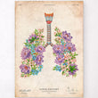 Load image into Gallery viewer, Lungs anatomy poster
