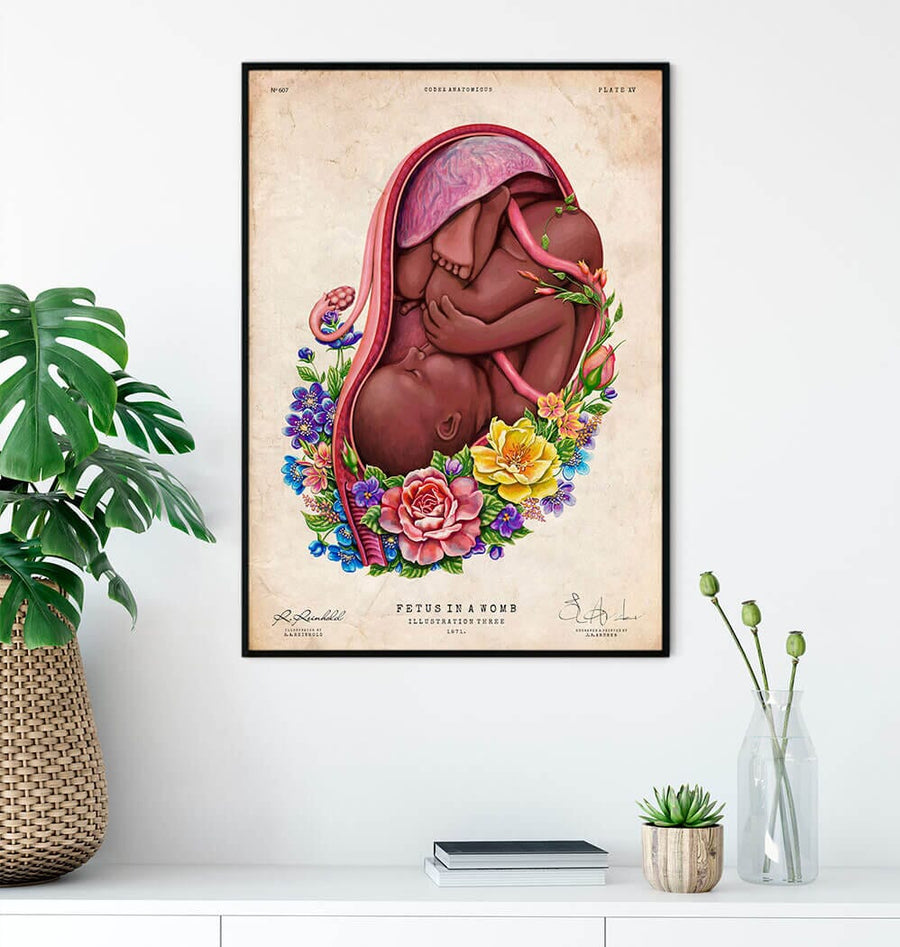 Fetus in a womb anatomy art print - Codex Anatomicus