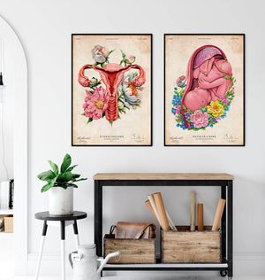Fetus in a womb anatomy art print - Codex Anatomicus