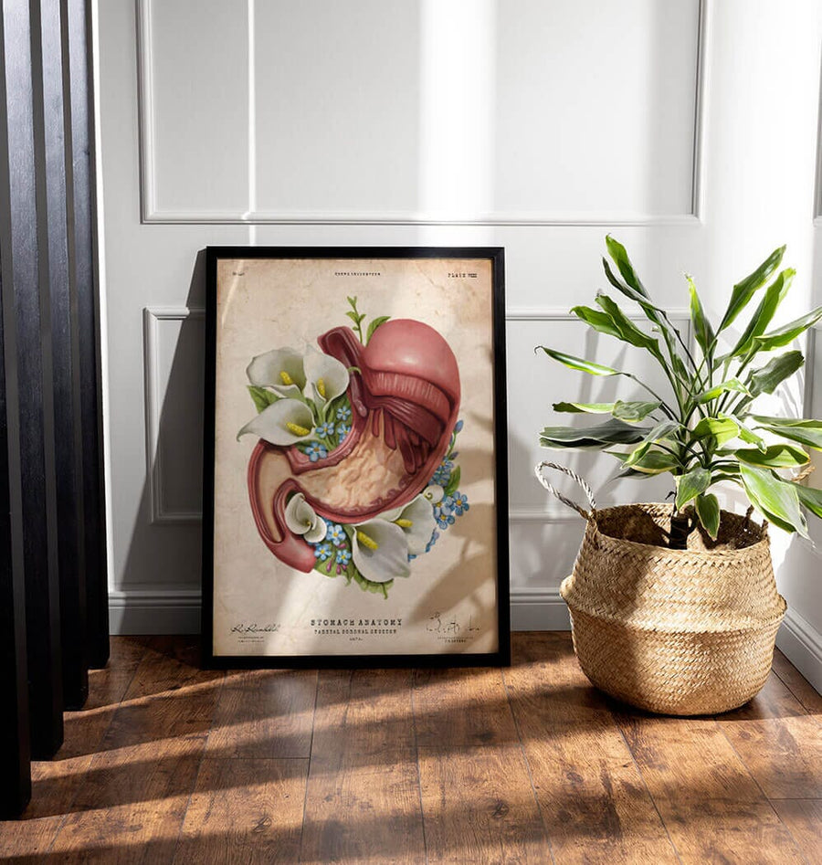 Floral stomach anatomy art print by Codex Anatomicus