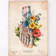 Load image into Gallery viewer, Foot anatomy poster
