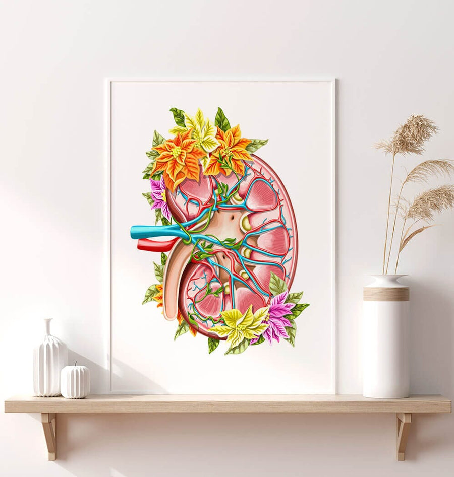 腎臓モチーフ細胞アート 原画 キャンバス 生物学×アート インテリア Floral watercolor kidney anatomy art print – Codex Anatomicus