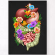 Load image into Gallery viewer, Digestive system poster
