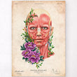 Load image into Gallery viewer, Face muscles anatomy poster
