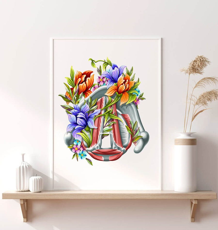 Vocal cords anatomy - Codex Anatomicus