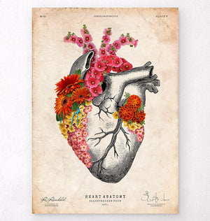 Floral heart anatomy art print – Codex Anatomicus