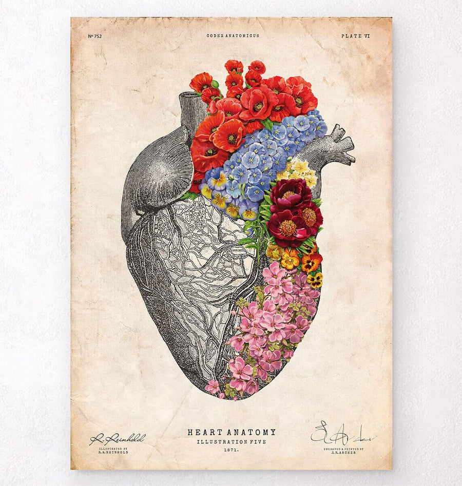 Floral heart anatomy art print – Codex Anatomicus