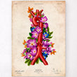 Load image into Gallery viewer, Aorta anatomy poster
