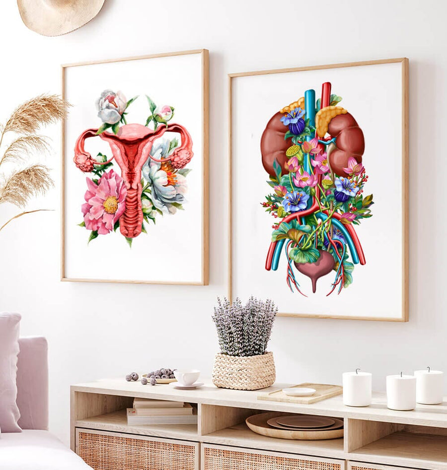 Floral urinary system anatomy art print – Codex Anatomicus