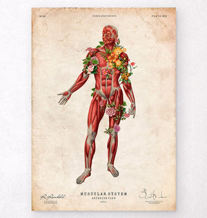 Mini-Poster Booklet Anatomie des Menschen, LxB 34x24 cm, 12 Poster - jetzt kaufen