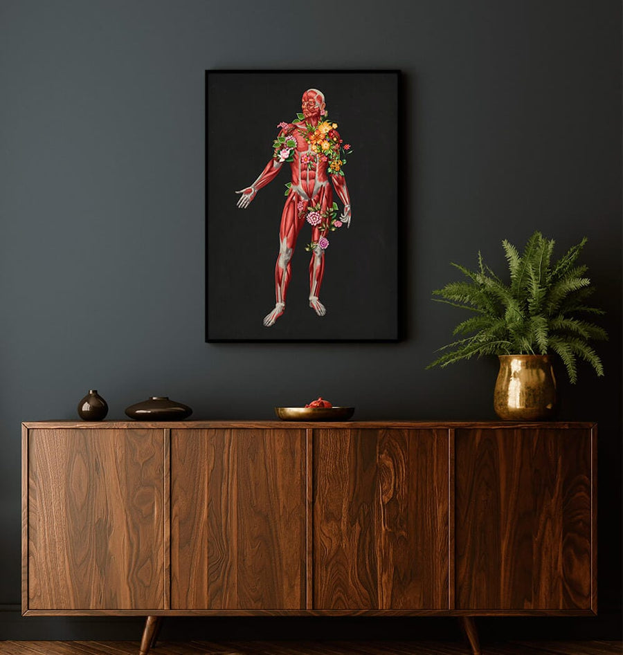 Muscles anatomy art - Codex Anatomicus