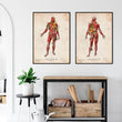 Load image into Gallery viewer, Anatomy poster showing muscles
