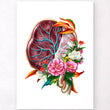 Charger l'image dans la galerie, Placenta anatomy poster
