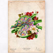 Load image into Gallery viewer, Lymph node anatomy poster
