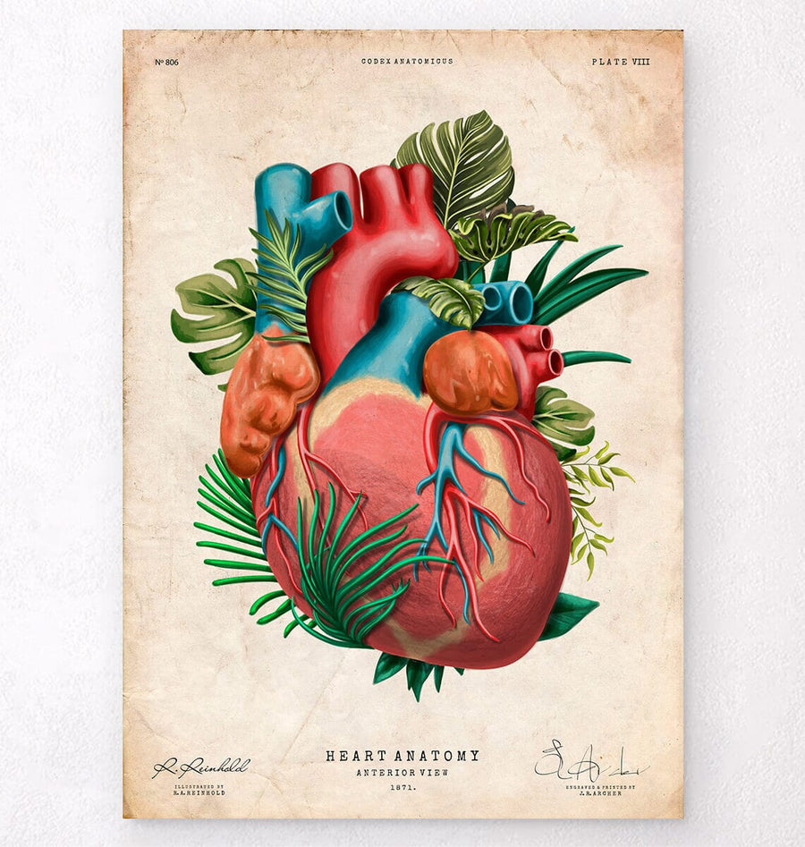 Floral heart anatomy art print - Codex Anatomicus