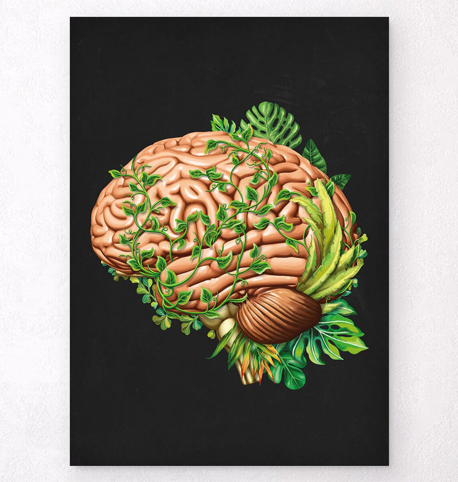 Floral brain anatomy art print - Codex Anatomicus