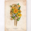 Load image into Gallery viewer, Hip replacement anatomy poster
