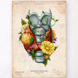Load image into Gallery viewer, Thyroid adenoma anatomy poste
