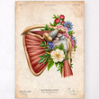Load image into Gallery viewer, Vintage anatomy poster Rotator cuff tear
