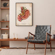 Load image into Gallery viewer, stomach ulcer vintage anatomy poster

