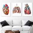 Laden Sie das Bild in den Galerie-Viewer, geometric anatomy art set for cardiology clinic and general practiced framed in white wooden frames and decorating a patients waiting room 
