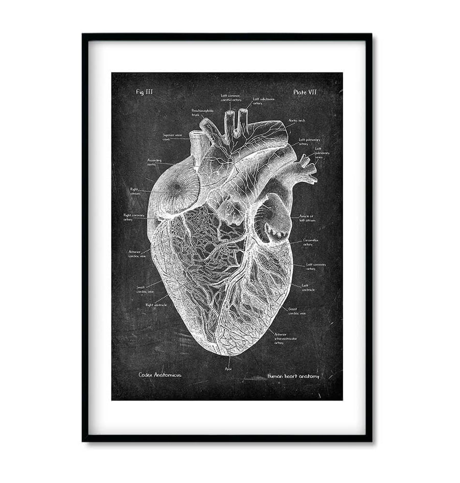 Bestsellers Chalkboard Anatomy Art Set of 3 - Codex Anatomicus
