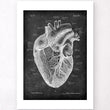 Charger l'image dans la galerie, Anatomie cardiaque I - Chalkboard
