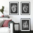 Charger l'image dans la galerie, Heart anatomy chalkboard art set by codex anatomicus

