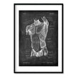 Laden Sie das Bild in den Galerie-Viewer, torso muscles anatomy art print in chalkboard style by codex anatomicus

