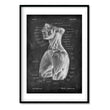 Laden Sie das Bild in den Galerie-Viewer, shoulder muscles anatomy art print in chalkboard style by codex anatomicus
