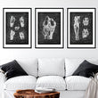 Charger l'image dans la galerie, Knee anatomy poster
