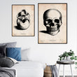 Load image into Gallery viewer, Anatomical skull art
