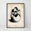 Laden Sie das Bild in den Galerie-Viewer, Human skull art print

