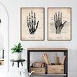 Charger l'image dans la galerie, Hand anatomy poster
