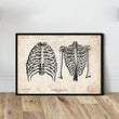 Laden Sie das Bild in den Galerie-Viewer, Rib cage poster - Vintage Poster
