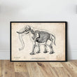Laden Sie das Bild in den Galerie-Viewer, Elephant skeleton art print
