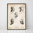 Laden Sie das Bild in den Galerie-Viewer, Ear anatomy poster
