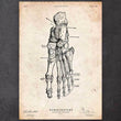 Charger l'image dans la galerie, Foot anatomy art print
