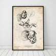Laden Sie das Bild in den Galerie-Viewer, Womb anatomy poster by Codex Anatomicus
